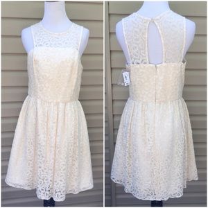 The Limited ! Gorgeous Cream Colored Dress !